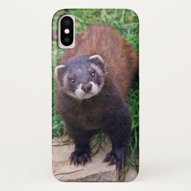 Polecat iPhone X Case (Back)