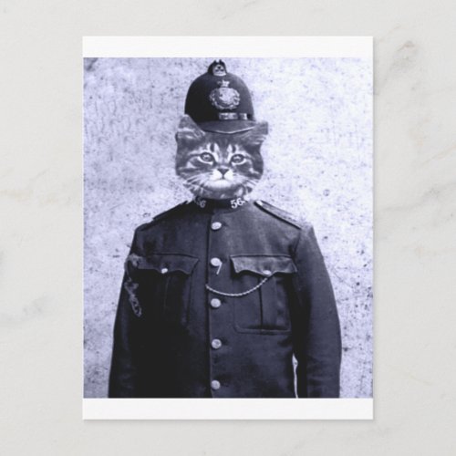 Police Cat Postcard