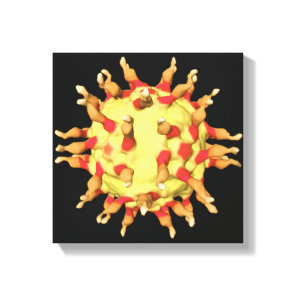 Polio Virus, Showing the Receptors Canvas Print