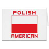 Polish American Flag (Front Horizontal)