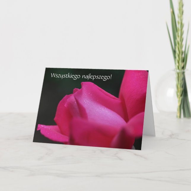 Polish Birthday Card Sto Lat Red Rose (Front)