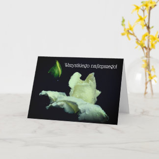 Polish Birthday Card Sto Lat White Rosebud