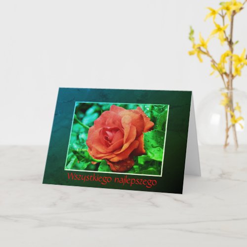 Polish Birthday Sto Lat Red Rose Floral Card