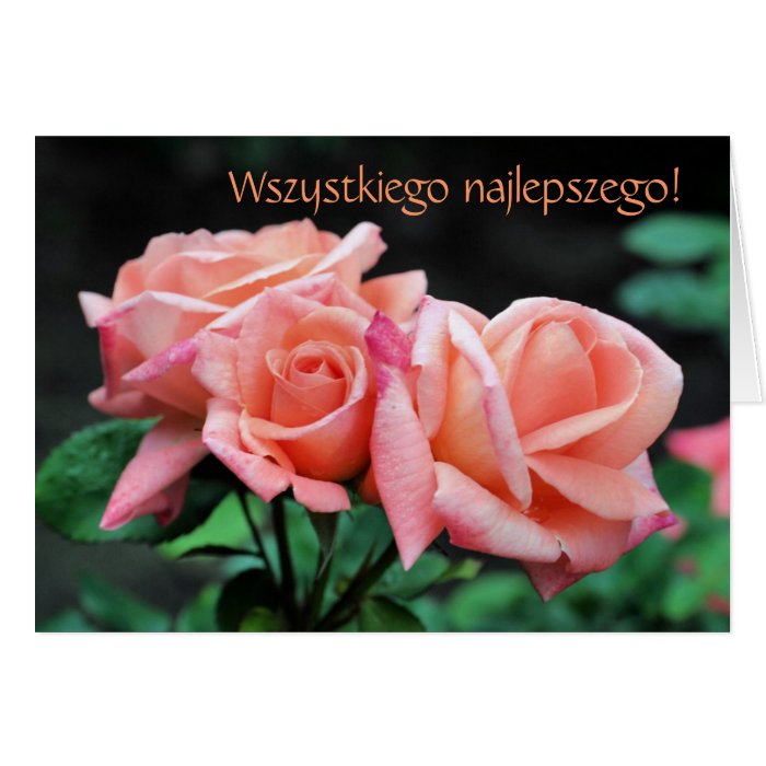 Polish Birthday Sto Lat Rosebuds Floral Card