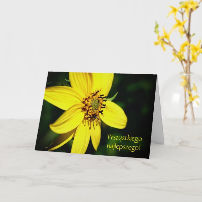 Polish Birthday Sto Lat Sunflower  Card (Yellow Flower)