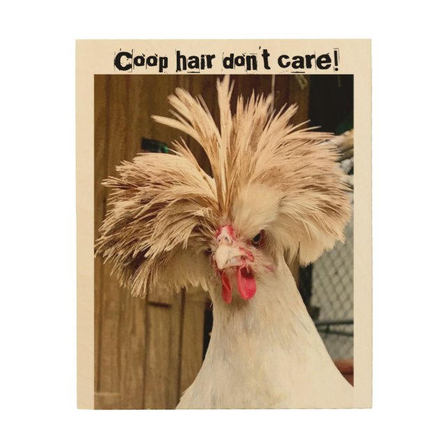 polish chicken "coop hair don't care!"  wood art (Front)