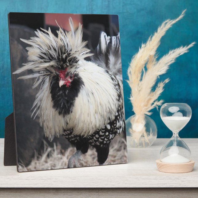 Polish Crested Rooster Plaque (Side)