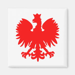 Polish Eagle Magnet