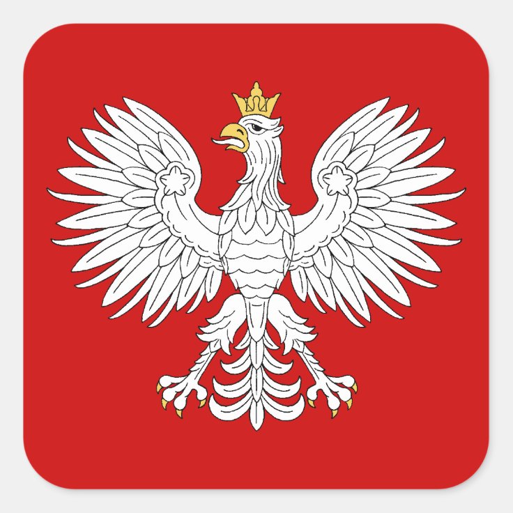 Polish Eagle Square Sticker Zazzle