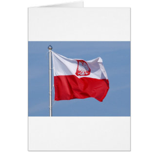 POLISH FLAG CARDS