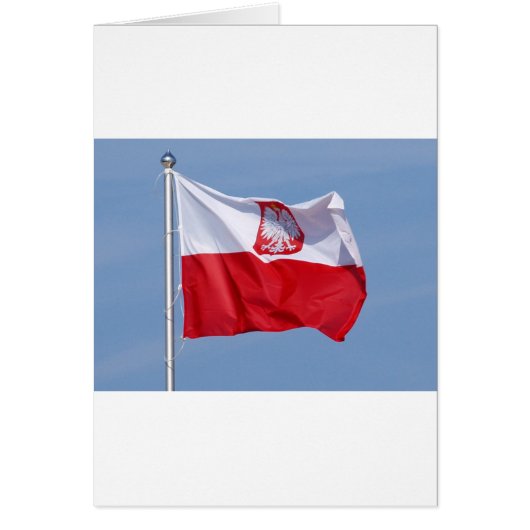 POLISH FLAG CARDS (Front)