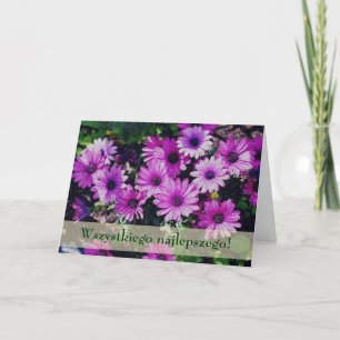 Polish Floral Birthday Card Sto Lat African Daisie