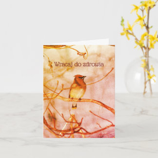 Polish Get Well Wildlife Nature Personalized Card