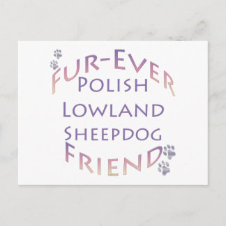 Polish Lowland Sheepdog Fur-ever Friend Postcard