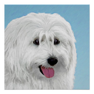 Polish Lowland Sheepdog Painting - Original Dog Ar Poster