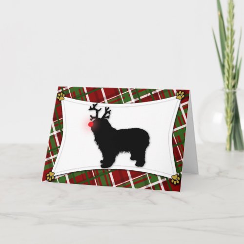 Polish Lowland Sheepdog Reindeer Christmas Card