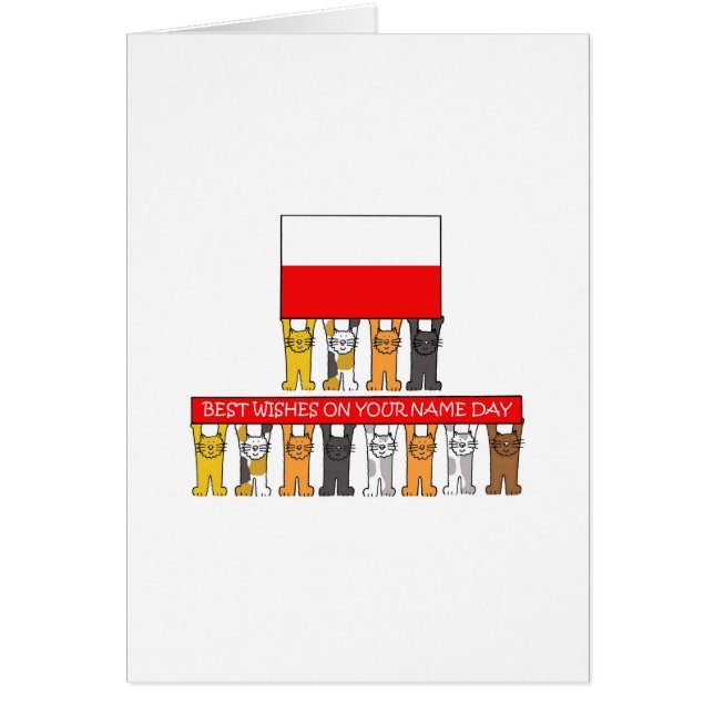 Polish Name Day Cartoon Cats Cards (Front)