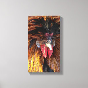 Polish Rooster Canvas Print