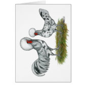 Polish Splash Chickens (Front)