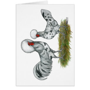 Polish Splash Chickens Cards