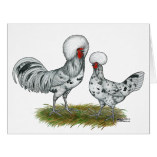 Polish Splash Chickens Cards