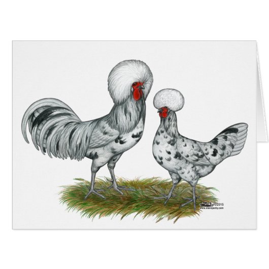 Polish Splash Chickens Cards (Front Horizontal)