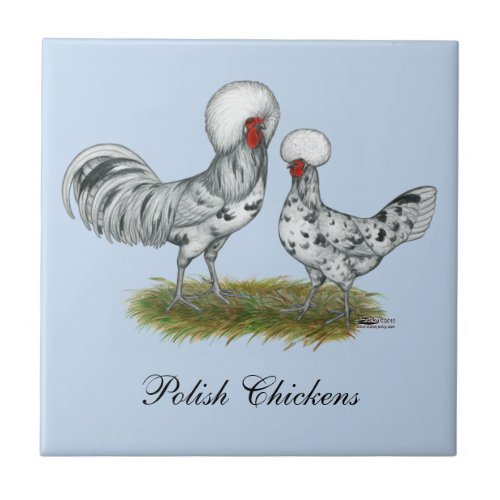 Polish Splash Chickens Ceramic Tile