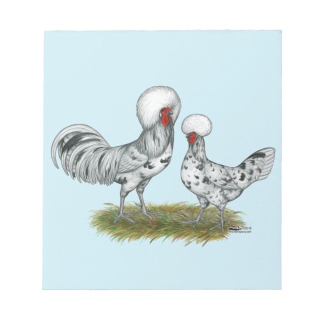 Polish Splash Chickens Notepad (Front)