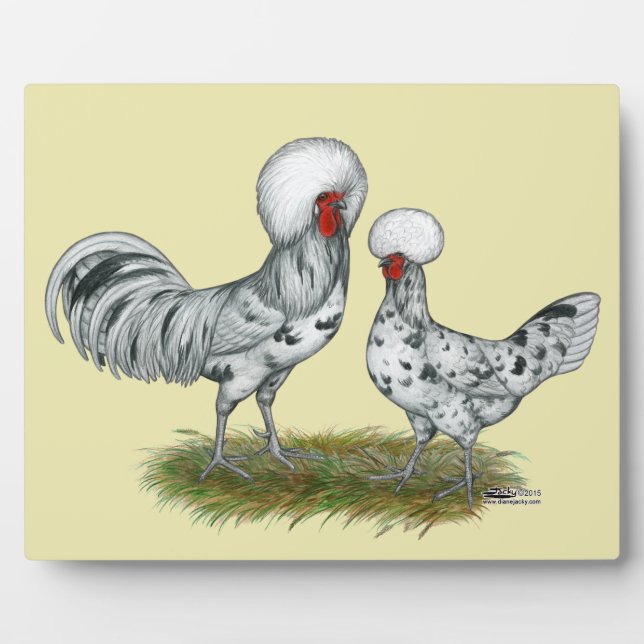 Polish Splash Chickens Plaque (Front)