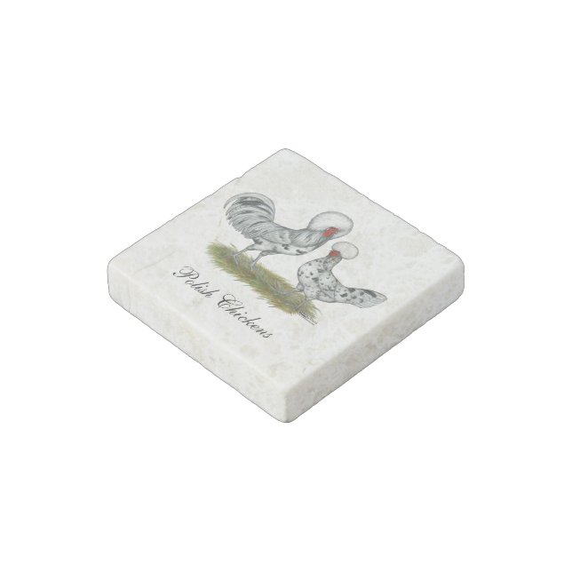 Polish Splash Chickens Stone Magnet (Angled)