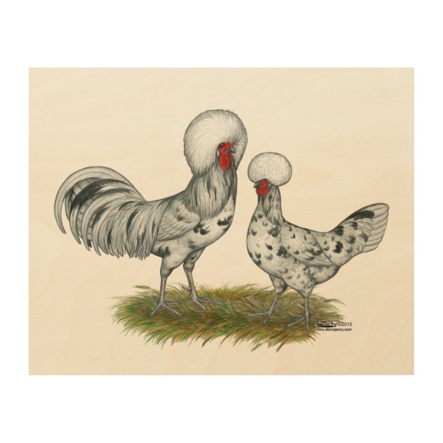 Polish Splash Chickens Wood Wall Decor (Front)