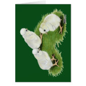 Polish Splash Chicks (Front)