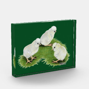 Polish Splash Chicks Award