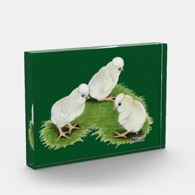 Polish Splash Chicks Award (Left)