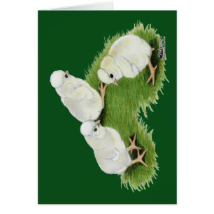 Polish Splash Chicks Cards