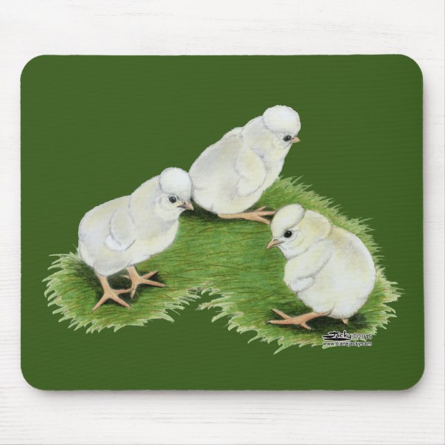 Polish Splash Chicks Mouse Pad (Front)