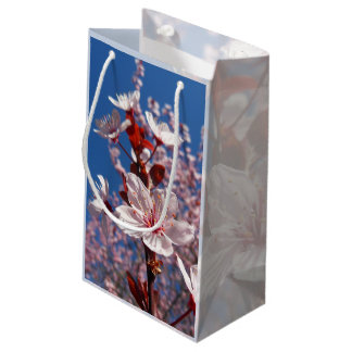 Polish spring blossoming, small gift bag