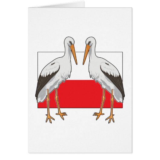 Polish White Stork Cards (Front)