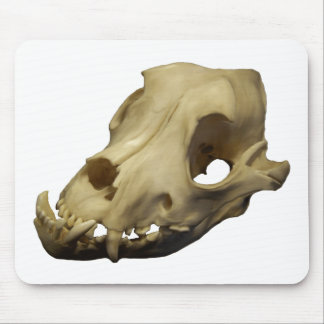 Polished Bulldog Canine Skull Mouse Pad