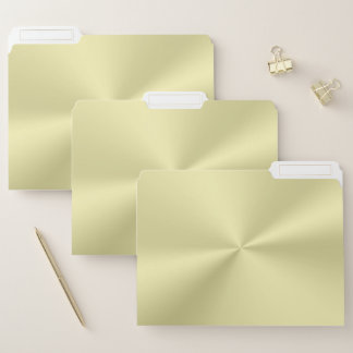 Polished gold effect file folder