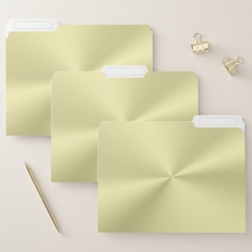 Polished gold effect file folder