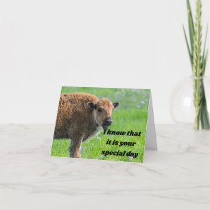 POLITE BABY BUFFALO SAYS ***HAPPY BIRTHDAY*** CARD