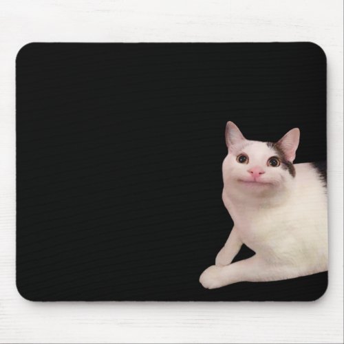 Polite Cat Meme Mouse Pad