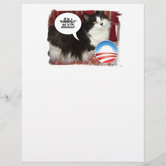 Political Cat Humor (Front)