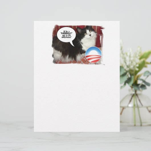 Political Cat Humor (Standing Front)