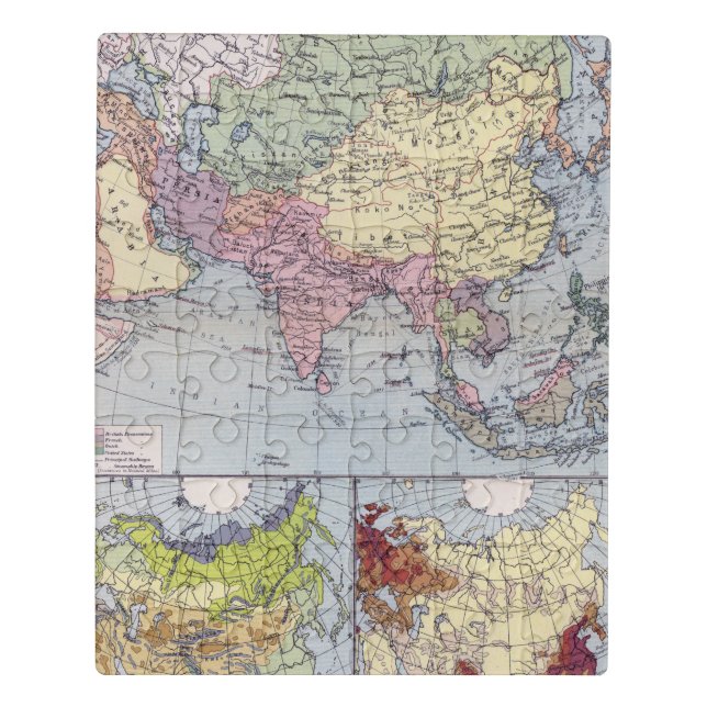 Political Map | Asia Jigsaw Puzzle (Puzzle Vertical)