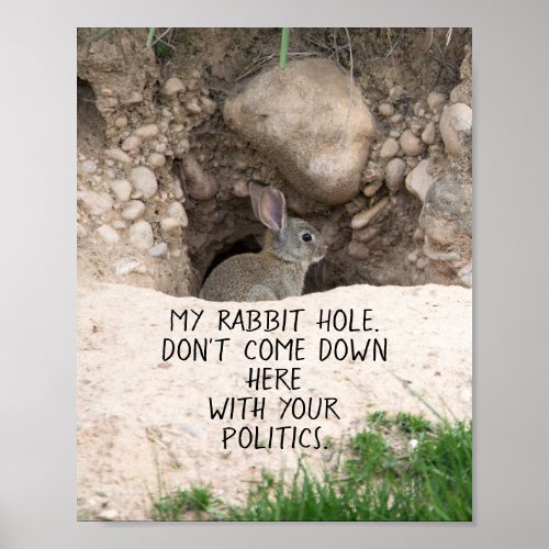 Political Rabbit Hole Bunny Photo Politics Humor Poster