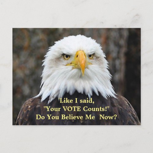 Political Satire American Bald Eagle VOTE Postcard