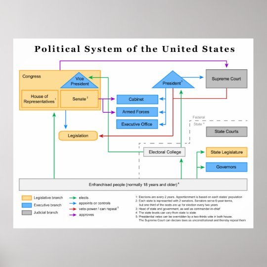 Political System Of The United States Diagram Poster | Zazzle.com