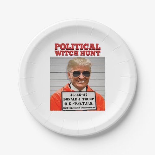 Political Witch Hunt of Donald Trump  Paper Plates